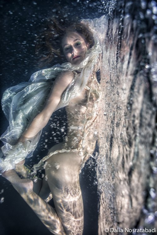 Gravity - Leda