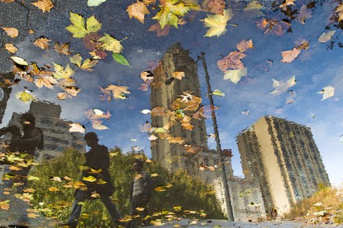 New York - Man walking on leaves