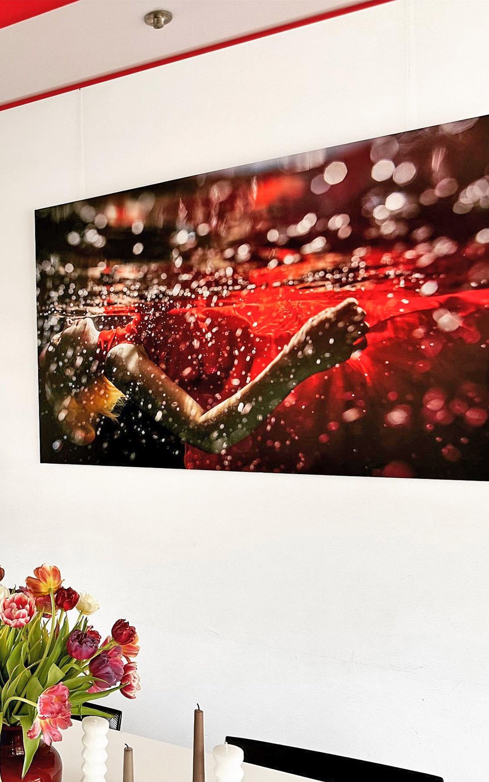 Dalia Nosratabadi exhibitions